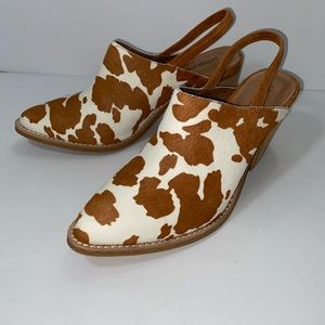 qvc steve madden